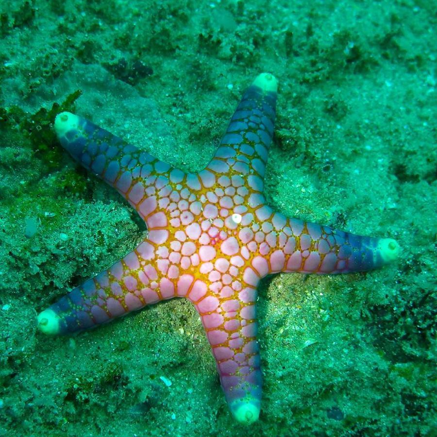 Seadina Coral Home มาตารา ภายนอก รูปภาพ