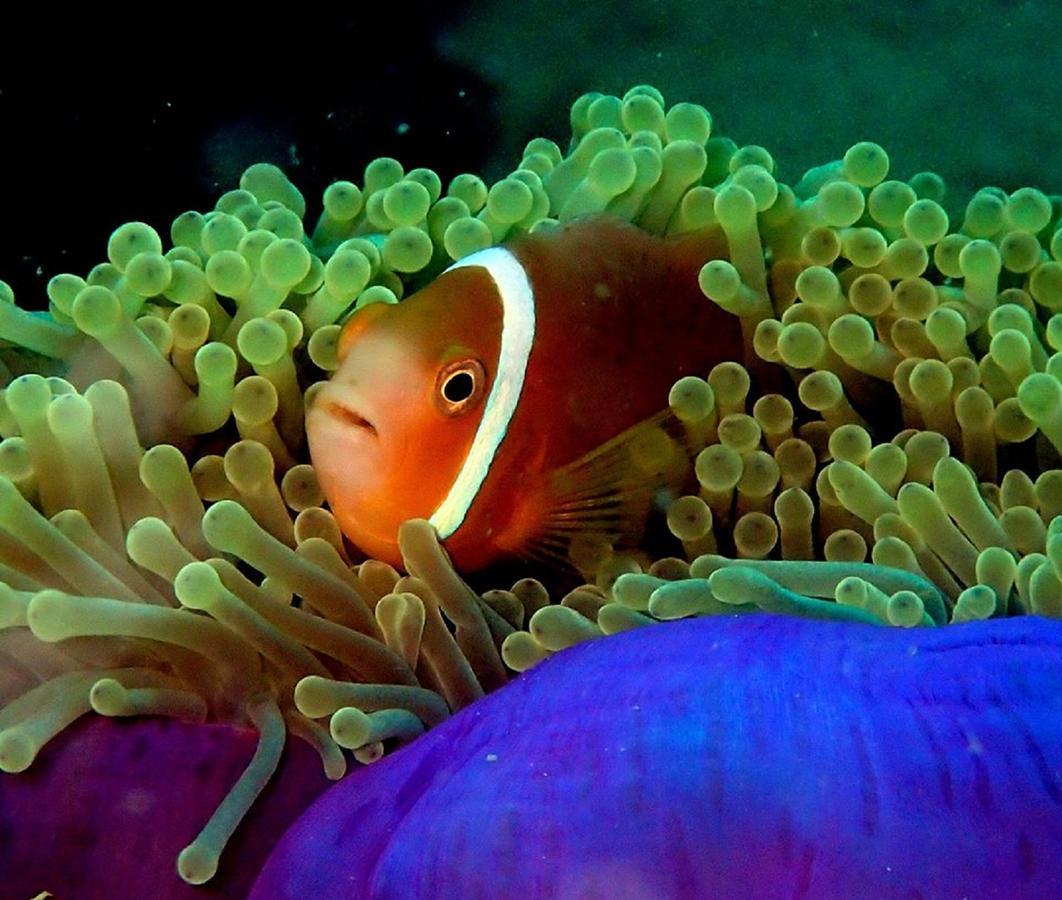 Seadina Coral Home มาตารา ภายนอก รูปภาพ